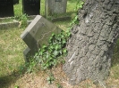 Jüdischer Friedhof in Bremen, 26.05.2011