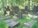 Hamburg Altona-historischer jüdischer Friedhof 