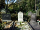 SCHÖNFELD (Eheleute) , SCHOTT Hildegard geb. JAKOBY, RAFAEWITSCH Elena, Jüdischer Friedhof, Bad Godesberg, Burgfriedhof (31.10.2013)