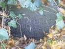 DARDENNE Mathilde geb. CARL, Jüdischer Friedhof im Burgfriedhof, Bad Godesberg, 31.10.2013