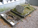 18-Cemetery of Ardres, Pas de Calais, famille Tetard-Limousin, abandoned tomb-2008