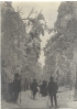 De bourgeoisie in Duitsland tussen 1900 en 1910,  historische beelden van een familieuitstapje tijdens de winter