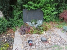 WIEDEMEIER Berta 1875-1962, PACHTINGER Charlotte 1898-1973, PACHTINGER Charles 1899-1985, Friedhof, Gebenstorf, Aargau