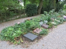 Gebenstorf (AG)-Friedhof an der Reuss (Friedhofweg)