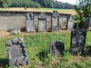 MOOS Lazarus Abraham, BOLLAK Michael, Jüdischer Friedhof in Lengnau-Endingen