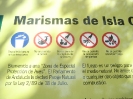 Marismas de Isla Cristina, Paraje natural, Zona de Especial Proteccion de Aves, 2008