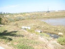 Les marais de Isla Cristina, parc naturel et zone de protection spéciale pour les oiseaux, 2008