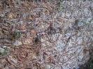 Kunstvolle Mauerdekoration mit Ziegel und Steine in Alanya, 26.06.2010