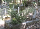 Tombes musulmanes, cimetière historique de Alanya-Ehmedek, 26.06.2010