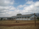 Dareda 2012, Tansania