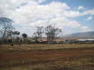 Dareda, Tansania